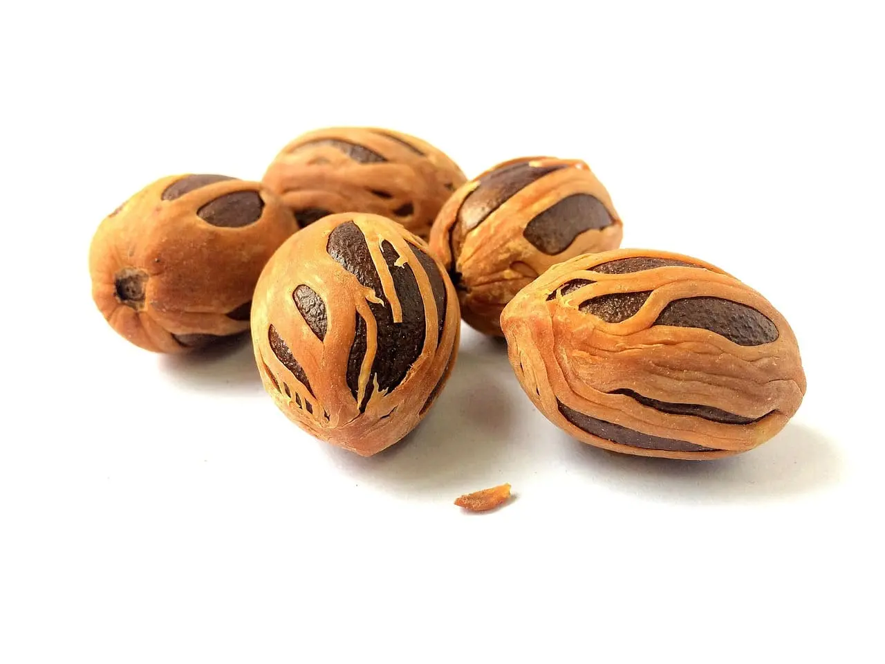 Nutmeg types