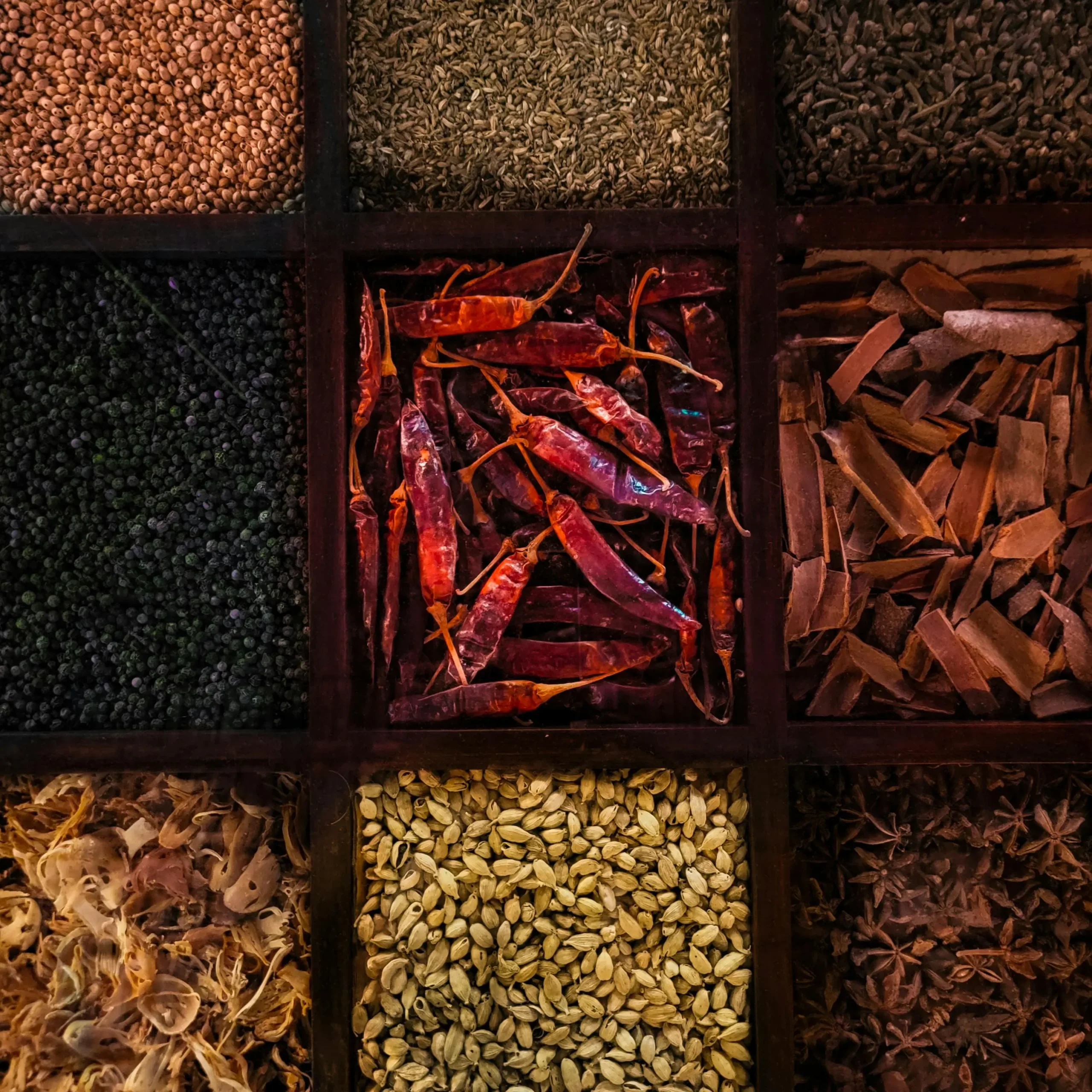 spicy indian spices