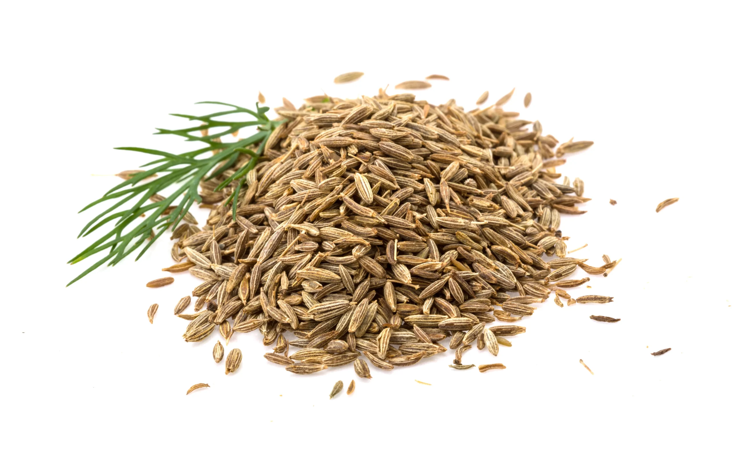 Cumin Seeds in India